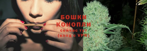 хмурый Касимов