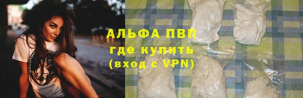 хмурый Касимов