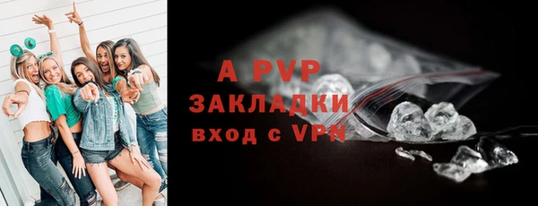 стафф Карпинск