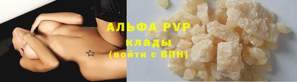 стафф Карпинск