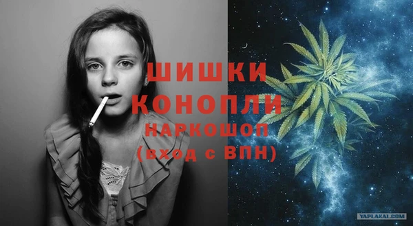 стафф Карпинск