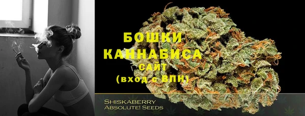 хмурый Касимов