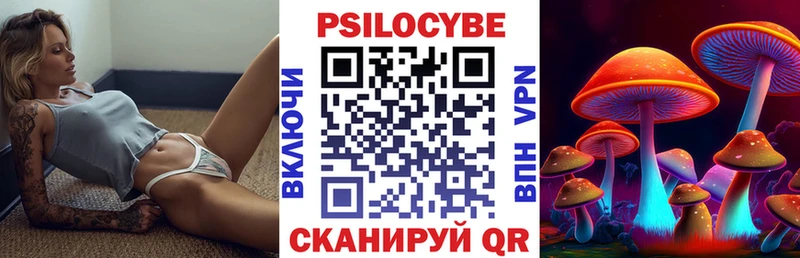 Псилоцибиновые грибы Psilocybine cubensis  Купить где  Ноябрьск 
