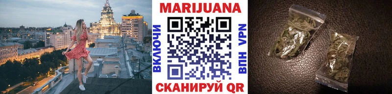 Конопля Bruce Banner  Купить где  Ноябрьск 